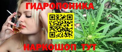 молекула духа Гусь-Хрустальный