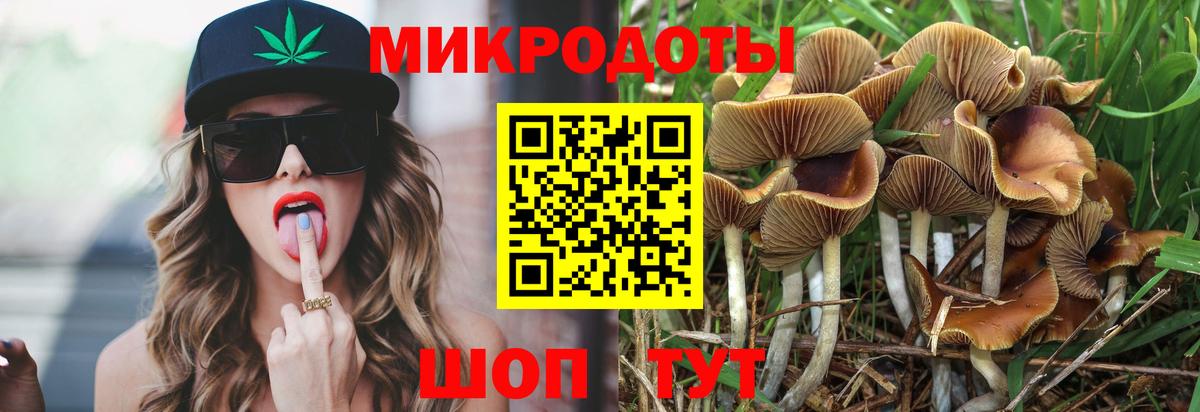 Галлюциногенные грибы прущие грибы  Галлюциногенные грибы Magic Shrooms  Муром  Вход с VPN 
